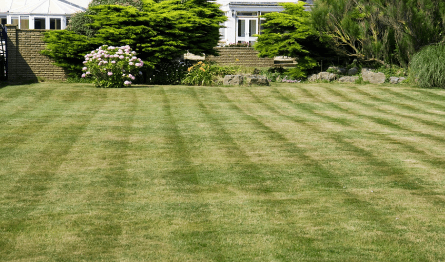 Lawn Care